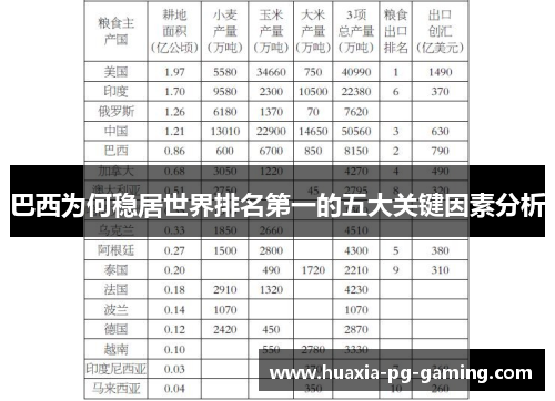 巴西为何稳居世界排名第一的五大关键因素分析