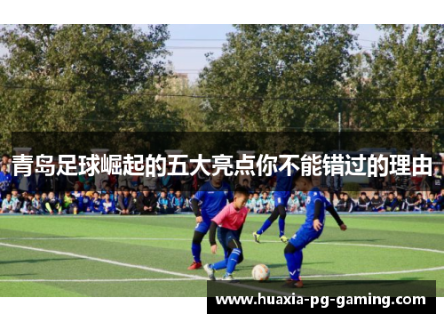 青岛足球崛起的五大亮点你不能错过的理由
