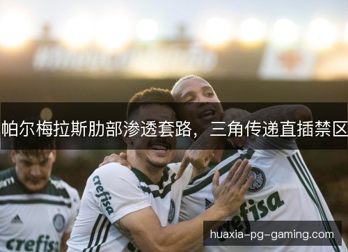 帕尔梅拉斯肋部渗透套路，三角传递直插禁区
