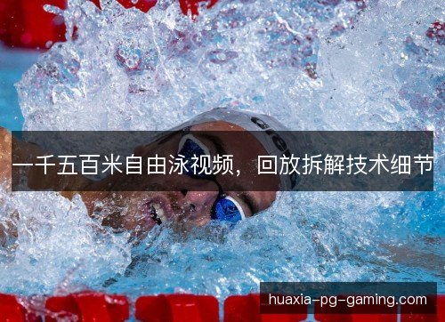 一千五百米自由泳视频，回放拆解技术细节